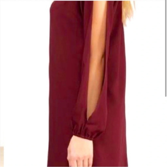 Tobi Burgundy Long Split Sleeves Lined Mini Dress Size S - Picture 3 of 8